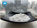 CARBOXYMETHYLCELLULOSE SODIUM SALT