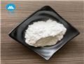 CARBOXYMETHYLCELLULOSE SODIUM SALT