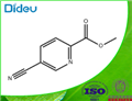 2-Pyridinecarboxylicacid,5-cyano-,methylester(9CI) 