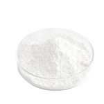 Procaine Penicillin G