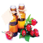 Rosehip Seed Oil in Good  Quality