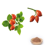 Rose Hip Oil for Food&Pharmaceutical&Cosmetic Grade