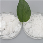 Tetrabutyl ammonium chloride hydrate