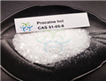 PROCAINE HCL