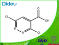 3,6-Dichloropyridazine-4-carboxylic acid 