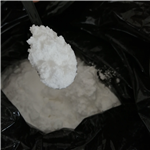 Tianeptine