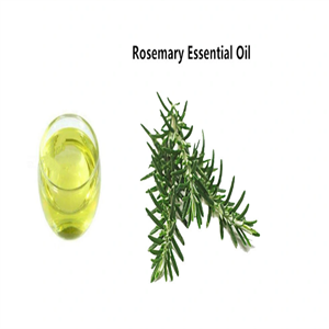 rosemary oil  