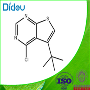 5-TERT-BUTYL-4-CHLORO-THIENO[2,3-D]PYRIMIDINE 