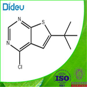 6-TERT-BUTYL-4-CHLOROTHIENO[2,3-D]PYRIMIDINE 