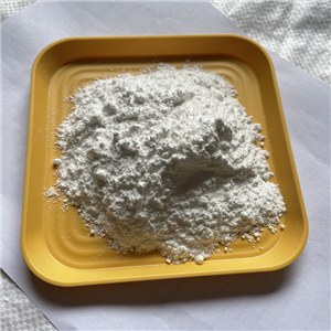 Sodium Cocoyl Glutamate 