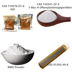 2-methyl-3-phenyl-oxirane-2-carboxylic acid