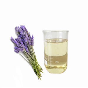 Lavender Oil Natural