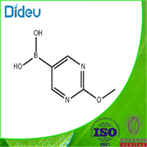 2-Methoxypyrimidine-5-boronic acid 