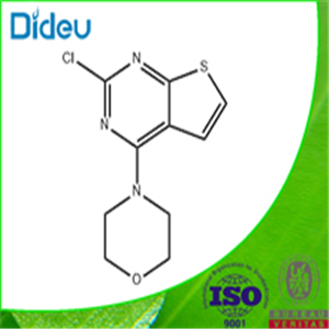 4-(2-chlorothieno[2,3-d]pyriMidin-4-yl)Morpholine 