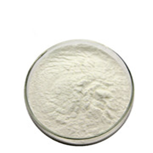 Tauroursodeoxycholic acid  TUDCA