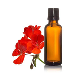 Geranium Oil