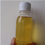 Natural Linalool  Camphor Leaf Oil