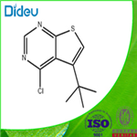 5-TERT-BUTYL-4-CHLORO-THIENO[2,3-D]PYRIMIDINE 