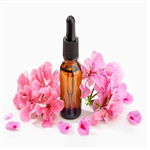 Geranium Oil