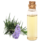 rosemary oil  