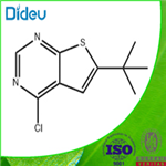 6-TERT-BUTYL-4-CHLOROTHIENO[2,3-D]PYRIMIDINE 