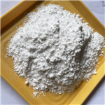 Sodium Cocoyl Glutamate 