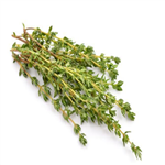 Thyme Oil