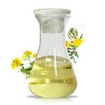 Evening Primrose Oil  