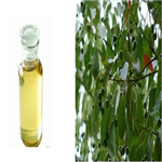 Natural Linalool  Camphor Leaf Oil