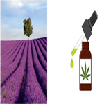 Lavender Oil Natural