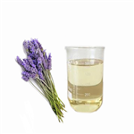 Lavender Oil Natural