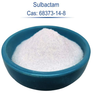 Sulbactam