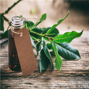 Cinnamon oil;Cinnamon Leaf Oil