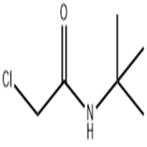 N-tert-butyl-2-chloroacetamide