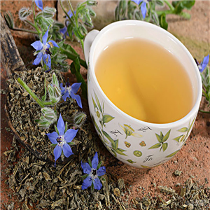 Borage oil, Borage seed oil
