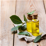 Osmanthus Oil;Osmanthus essential Oil