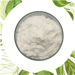 Testosterone Propionate;TP