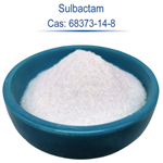 Sulbactam