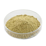 Oyster Powder
