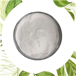 Testosterone Isocaproate