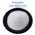 Sulbactam