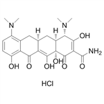 Minocycline hydrochloride