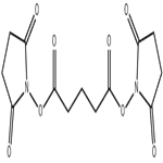 bis(2,5-dioxopyrrolidin-1-yl)pentanedioate