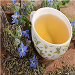 Borage oil, Borage seed oil