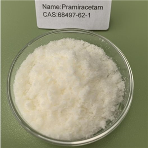 Pramiracetam