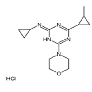 N-cyclopropyl-4-(2-methylcyclopropyl)-6-morpholin-4-yl-1,3,5-triazin-2-amine,hydrochloride