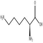 DL-lysine