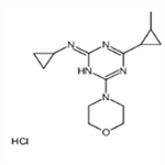N-cyclopropyl-4-(2-methylcyclopropyl)-6-morpholin-4-yl-1,3,5-triazin-2-amine,hydrochloride
