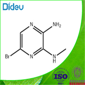 5-BROMO-N3-METHYL-PYRAZINE-2,3-DIAMINE 