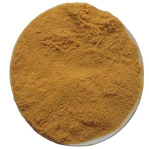 Echinacea Extract
